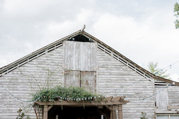 A weathered, white wooden barn with a triangular roof, overgrown greenery above the entrance, and string lights hanging across the front; the sky is cloudy in the background.