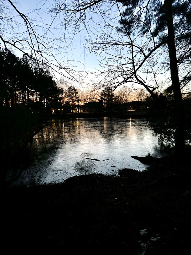 A serene, partially frozen lake at sunset with silhouetted trees and branches in the foreground, reflecting the colors of the fading sky.