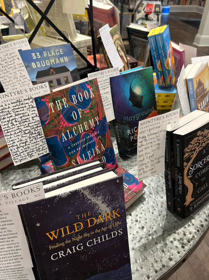 A display table in a bookstore features various books standing upright, including “The Book of Alchemy,” “The Wild Dark,” and “Playground.” Handwritten staff recommendation cards are placed in front of several books.