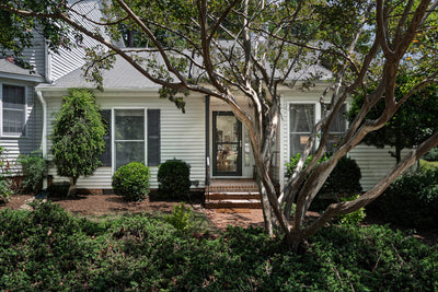 A white house with black shutters, a glass front door, brick steps, and neatly trimmed bushes and trees in the landscaped front yard. Sunlight filters through the large tree in the foreground.