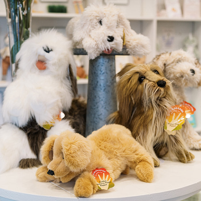 Four plush stuffed dogs of various breeds and colors are displayed on a round white table, each with a tag on its collar. The background includes shelves with various items.