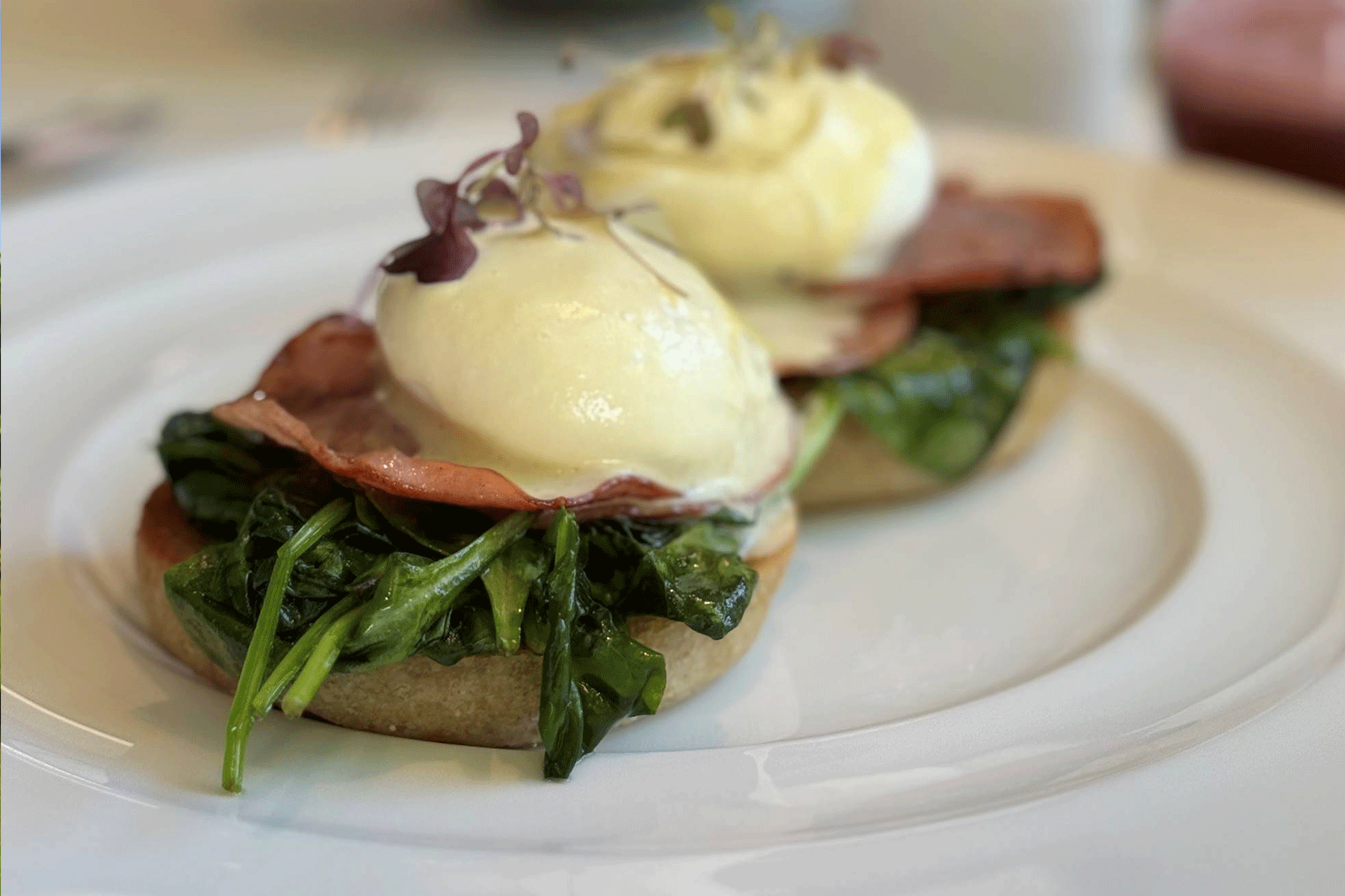 The Fearrington Plate – July 24 2025