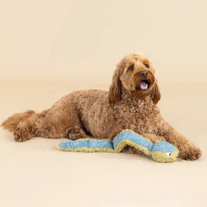 The FRINGE STUDIO - DON'T GET WRAPPED UP DOG TOY by PET SHOP BY FRINGE STUDIO is a long plush snake toy with labeled features: "Crazy Crinkle Paper" in the head, "Super Loud Squeaker" in the body, "Recycled Water Bottle Fill" in the tail, and made from "Soy Faux Fur" material. This eco-friendly dog toy is green with blue accents.