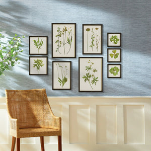 A wicker chair is positioned against a blue wall with white paneling, featuring eight NAPA HOME AND GARDEN - FOLIAGE PRINTS by NAPA HOME AND GARDEN depicting various green plants. Sunlight softly casts shadows, while a partially visible potted plant adds to the serene nature-inspired decor.