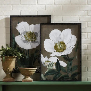 Experience the elegance of NAPA HOME AND GARDEN's POPPY PRINT with these two framed prints showcasing large white poppy flowers with green stems and leaves. The muted taupe backgrounds accentuate the intricate details of the blossoms and foliage, while the frames, made from black fir wood, offer a simple yet elegant finish designed exclusively for interior use.