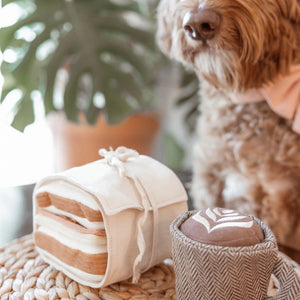 A small brown poodle sits at a table with a stuffed toy cake and a stuffed toy cup of latte art. The background features a white wall and a coffee maker. The poodle, eager for its LAMBWOLF COLLECTIVE - HAM AND CHEESE DOG TOY burrow challenge, looks directly at the camera with a happy expression.