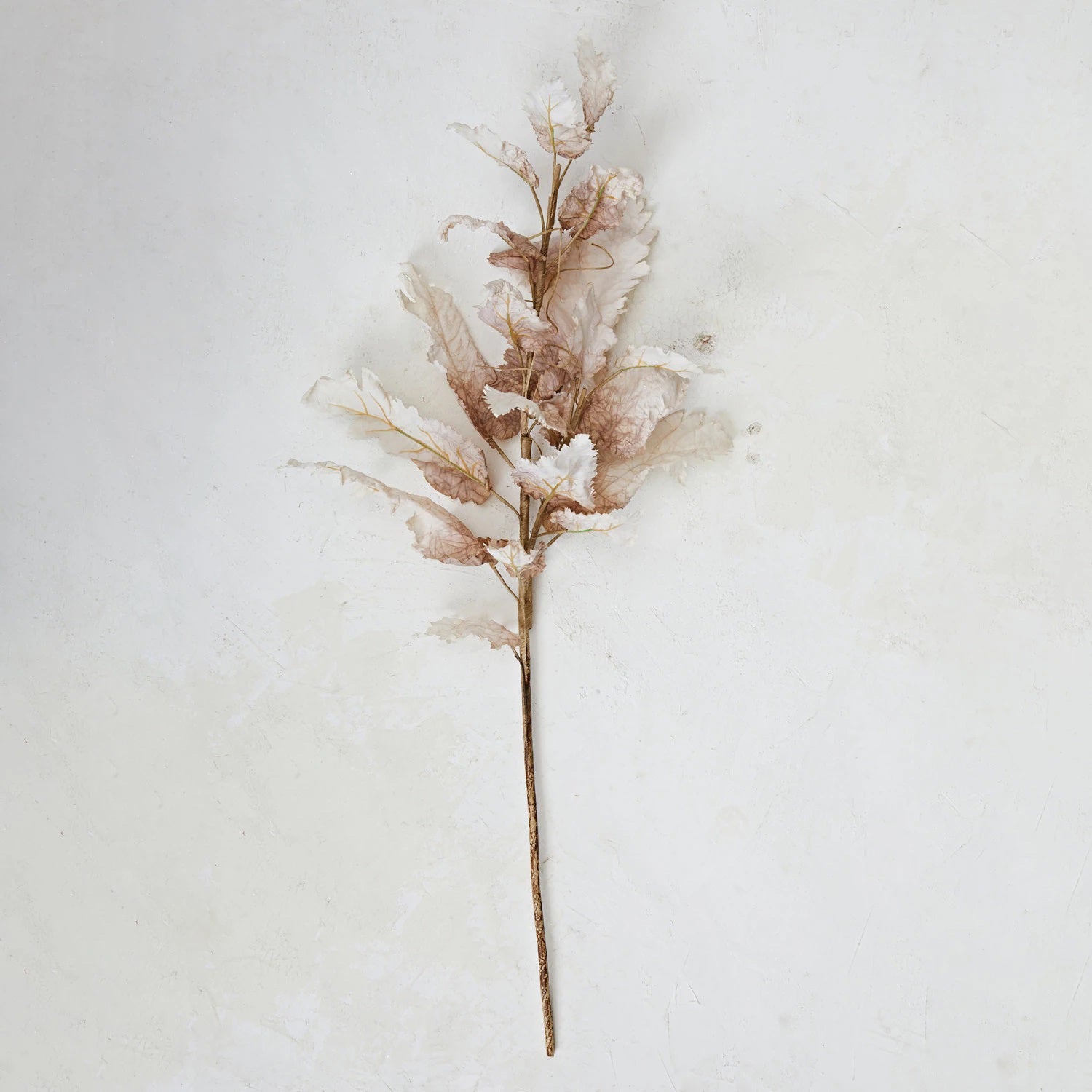 The LEAF STEM by CREATIVE COOP showcases a dried plant with brown leaves on a long singular stem, set against a white background. The cream-colored leaves exhibit a delicate, papery texture with noticeable curling and layering.