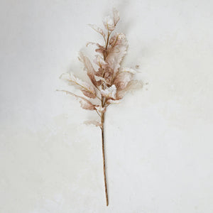 The LEAF STEM by CREATIVE COOP showcases a dried plant with brown leaves on a long singular stem, set against a white background. The cream-colored leaves exhibit a delicate, papery texture with noticeable curling and layering.