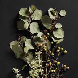 A single, tall SILVER DOLLAR EUCALYPTUS branch from NAPA HOME AND GARDEN features small round green leaves and a few tiny white buds, isolated on a white background. The slender stem branches out into smaller stems with foliage, creating realistic home decor that captures the natural beauty of Napa California.