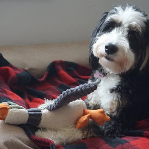 The TALL TAILS Plush Duck Squeaker Dog Toy is ideal for medium and large dogs, featuring a ribbed texture with green and gray sections, an orange beak and feet, and a body made of soft yet durable reinforced mesh fabric.