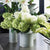 NAPA HOME AND GARDEN cone hydrangea stems are elegantly arranged with large leaves in rustic metal containers on a gray countertop. Lilies and other flowers add a fresh, realistic touch to the display, perfect for any home or office setting.