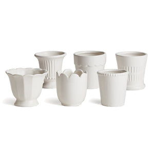 NAPA HOME AND GARDEN's Mirabelle Mini cachepot planters and cups are on a wooden table in an inviting interior. Two cachepots feature white orchids, echoing Napa, California's serene elegance, while sunlight casts soft shadows for a cozy and warm atmosphere.