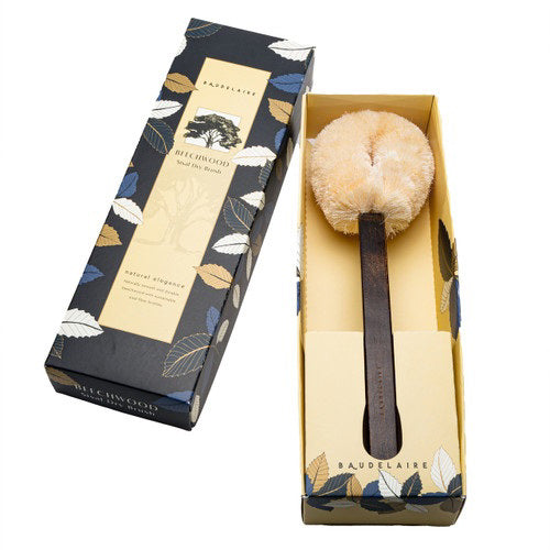 A beige BAUDELAIRE Beechwood 14&quot; Sisal Dry Brush with a dark brown handle rests in an open rectangular box adorned with floral patterns. The box lid, leaning against the box, features the brand name &quot;BAUDELAIRE&quot; and highlights the brush&#39;s exceptional beechwood craftsmanship and natural elegance. Ideal for your self-care routine, this brush is made from all-natural sisal fibers.