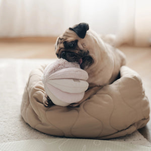 A small, curly-haired brown dog enjoys sensory play with the LAMBWOLF COLLECTIVE TOTO DOG TOY on a white, fluffy bed. The playful pup explores the toy in a bright, clean setting, reminiscent of an impromptu nosework session.