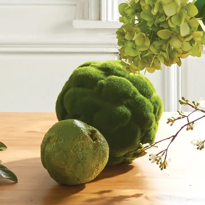 A round, green object resembling a moss-covered sphere is visible against a white background. The surface is textured, giving it a fluffy, organic appearance—perfect for adding a touch of Napa California charm to your home decor with the MOOD MOSS ORB 7" from NAPA HOME AND GARDEN.