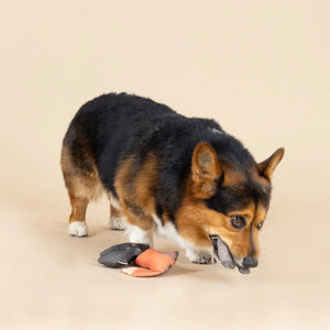 A corgi with a black and brown coat stands on a beige background, holding the PET SHOP BY FRINGE STUDIO's charming FRINGE STUDIO - FOREST FRIENDS MINI DOG AND CAT TOYS, crafted from durable cotton canvas and resembling a whimsical cartoonish character. Another mini pet toy rests on the ground nearby. The small dog gazes up with an eager expression.