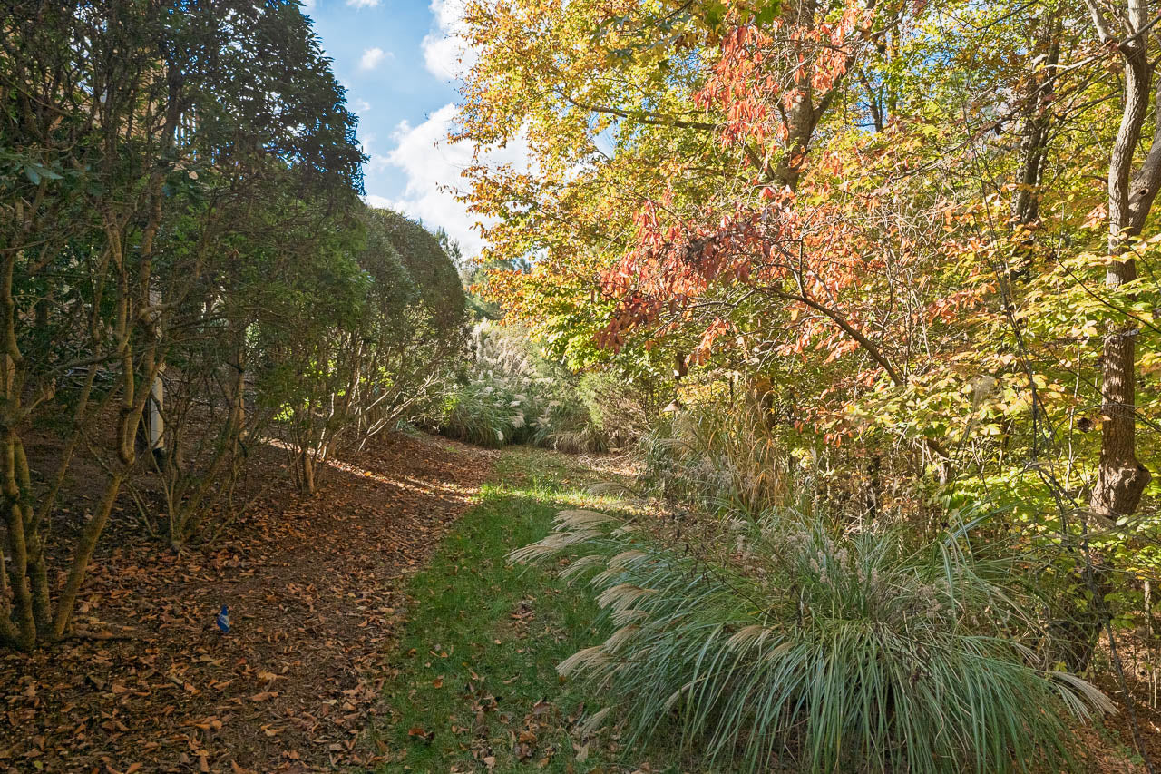 A narrow grassy path winds through a woodland area with trees and bushes displaying autumn foliage in shades of green, yellow, and red under a partly cloudy blue sky.