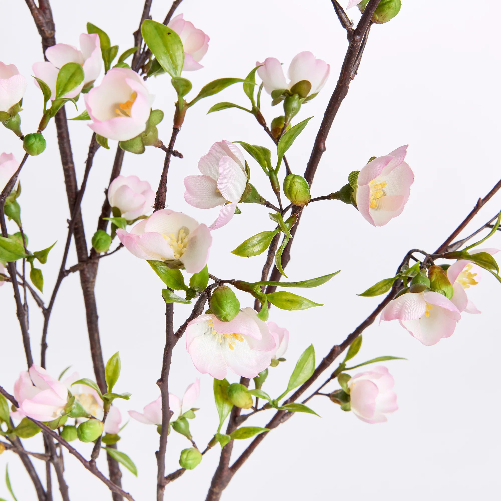 The NAPA HOME AND GARDEN Cherry Blossom Branches offer a realistic and natural cluster of delicate pale pink blossoms with green leaves, perfect as an accent for any home or office.