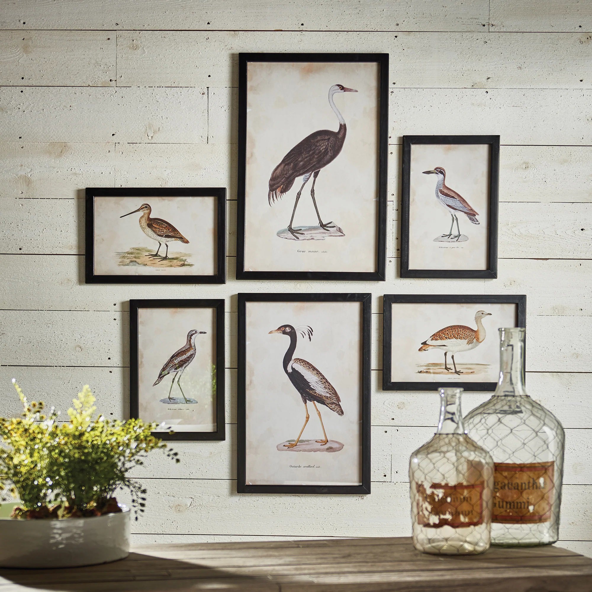 The wall boasts the NSPS HOME AND GARDEN - WATERFOWL GALLERY ART LARGE, a set from NAPA HOME AND GARDEN. It features six framed aquatic bird illustrations in a slightly irregular grid, each enclosed in an elegant black border.