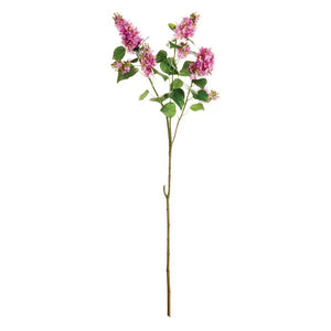 A sprig of vibrant purple GARDEN LILAC BRANCH 37 from NAPA HOME AND GARDEN, adorned with lush green leaves, rests against a plain white background. This showcases the stunning beauty of the blossoms and the striking contrast between their rich colors and the stark backdrop. Available for realistic portrayal, consider instore pickup to fully appreciate their charm up close.