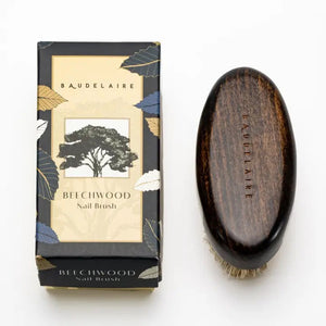 A BAUDELAIRE - BEECHWOOD 4" NAIL BRUSH with a dark wooden handle and natural boar bristles is placed next to its decorative box. The box features a design with leaves and an illustration of a tree, along with the brand name "BAUDELAIRE.