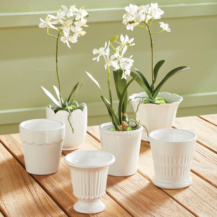 NAPA HOME AND GARDEN's Mirabelle Mini cachepot planters and cups are on a wooden table in an inviting interior. Two cachepots feature white orchids, echoing Napa, California's serene elegance, while sunlight casts soft shadows for a cozy and warm atmosphere.