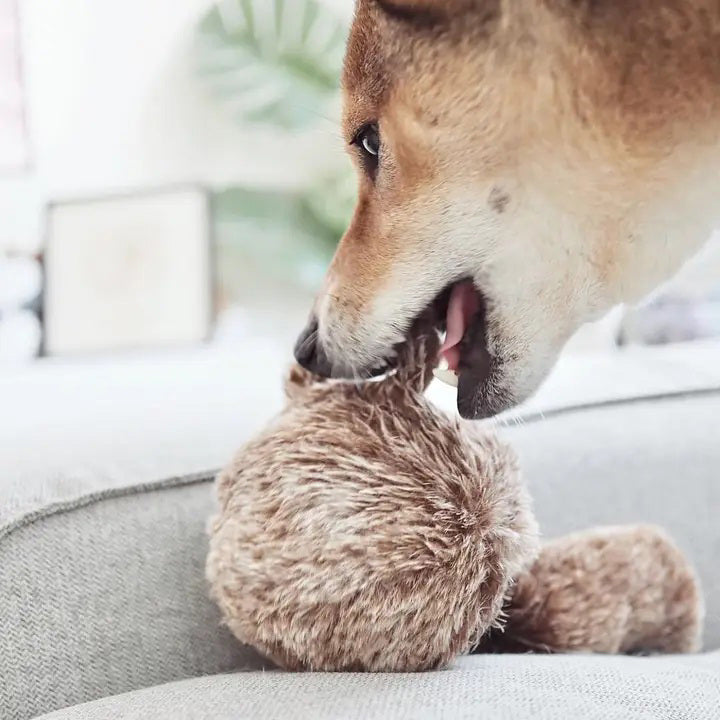 Pictured against a white background is the LAMBWOLF COLLECTIVE - SQUIRREL POP DOG TOY from LAMBWOLF COLLECTIVE. This fluffy, brown canine toy features a design resembling a squirrel's tail and round body. With its fuzzy texture and small ears, it exudes a cute and playful appearance.