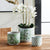 On a wooden table sit three coordinating ceramic pots. The largest, the Napa Home and Garden Imperial Cylinder Pot Large, holds a white orchid with tall stems. These Chinoiserie pots feature intricate green floral and geometric patterns. A wicker chair and a framed picture are partially visible.