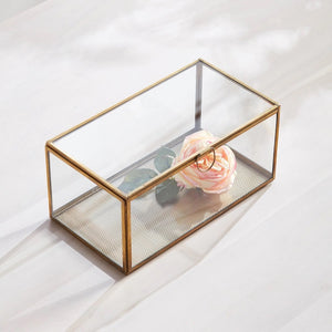 Introducing the ARWEN RECTANGULAR BOX by NAPA HOME AND GARDEN: a rectangular glass and brass box with a gold metal frame. Transparent on all sides, including the top, it features a small gold ring handle on the front. The frame's design is simple and elegant, perfect for showcasing mementos or collectibles as part of your Napa home decor.