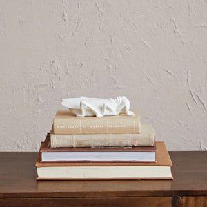 The STONEWARE BISQUE GRASSHOPPER PAPERWEIGHT by CREATIVE COOP features a detailed white stoneware sculpture of a grasshopper, showcasing intricate wings and legs, lying on its side against a plain white backdrop.