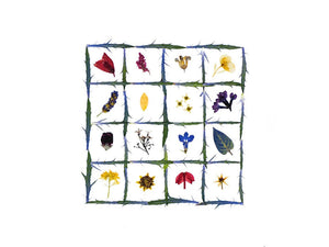 A pair of CARD FLOWER QUILT notecards from PETAL PEOPLE PRESS displayed on a light wooden surface. The top card features a grid of sixteen sections, each containing unique pressed flowers and leaves against a white background bordered with a decorative blue and green pattern, showcasing exquisite botanical art.