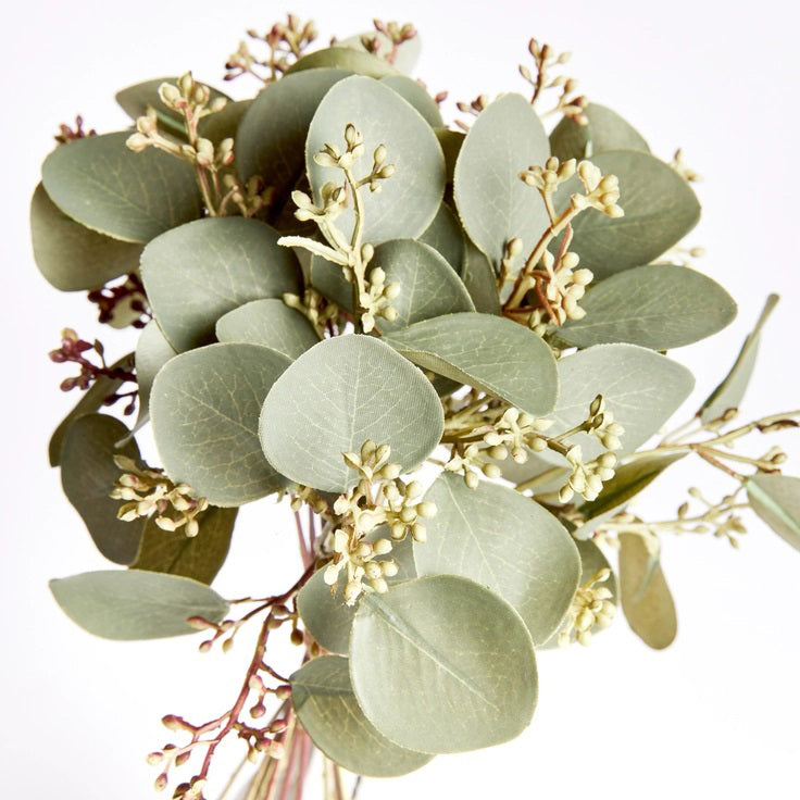 The SILVER DOLLAR EUCALYPTUS CUTTINGS from NAPA HOME AND GARDEN showcase a close-up view of realistic silver dollar eucalyptus leaves and small white buds. The round, silvery-green leaves contrast beautifully with the delicate white buds and slender reddish stems, creating a fresh and natural aesthetic that elevates your living space against a white background.