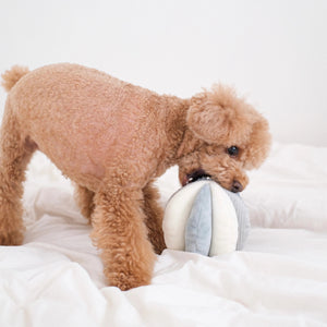 The LAMBWOLF COLLECTIVE TOTO DOG TOY is a plush, star-shaped sensory toy with soft blue, light grey, and cream sections. It features ridged and smooth textures for tactile exploration and includes squeakers for added fun. The toy is displayed against a white background.