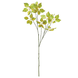 Introducing the VARIEGATED LEAF BRANCH 43" from NAPA HOME AND GARDEN: This elegant piece features a single long stem with several branches adorned with clusters of small, realistic leaves. The leaves exhibit a light to medium green hue with hints of yellow and have a slightly translucent texture. A slender, dark green stem adds a natural touch to any festive garland.