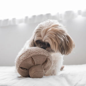 A small, plush button mushroom toy from LAMBWOLF COLLECTIVE. The cap is covered in a fuzzy, textured fabric, while the stem and gills are made from a smoother material in a matching beige color. Designed by LAMBWOLF COLLECTIVE to look cute and cuddly, this washable pet toy is perfect for both playtime and snuggles.