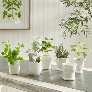 NAPA HOME AND GARDEN's Mirabelle Mini cachepot planters and cups are on a wooden table in an inviting interior. Two cachepots feature white orchids, echoing Napa, California's serene elegance, while sunlight casts soft shadows for a cozy and warm atmosphere.