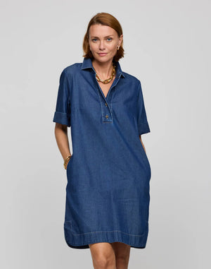 A woman with long dark hair, facing away, wears the HINSON WU - AILEEN Short Sleeve Denim Dress in light blue tencel, featuring a button-down back. She stands against a plain gray background.