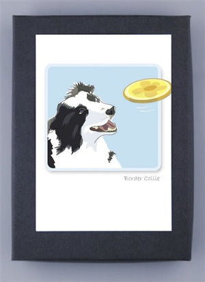 The PAPER RUSSELLS "Border Collie & Frisbee" note card features an illustration of a Border Collie with its mouth open, eagerly looking at a flying yellow frisbee against a light blue background. The words "Border Collie" are written in small text below the illustration, and the card is printed on FSC-certified recycled paper.