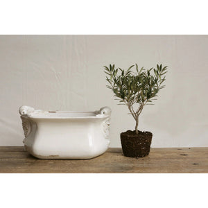 Introducing the LARGE TERRACOTTA CACHEPOT IN WHITE by CREATIVE COOP, a rectangular ceramic planter with raised handles on both sides and intricate designs near the corners. This cachepot boasts a slightly weathered, distressed white finish, complete with minor discolorations and worn spots, which add to its rustic charm.