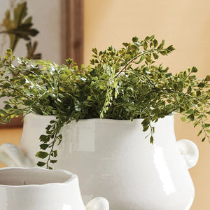 The MAIDENHAIR DROP IN 18 from NAPA HOME AND GARDEN features lush green fern foliage with delicate, lacy leaves and multiple stems. The crafted root ball is displayed surrounded by a clump of soil, making it an ideal piece for curated home decor. The realistic greens of the plant stand out beautifully against a plain white background.