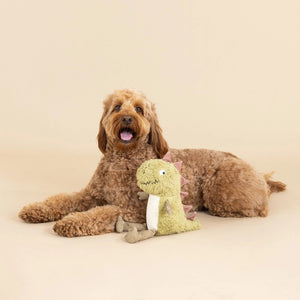 The FRINGE STUDIO - SMALL ARMS BIG HEART DOG TOY from PET SHOP BY FRINGE STUDIO features a plush green body with brown spikes. This eco-friendly toy includes soy faux fur, non-toxic cotton canvas, recycled water bottle fill, crazy crinkle paper, and a super loud squeaker, making it perfect for interactive play with your pet.