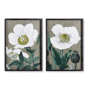 Experience the elegance of NAPA HOME AND GARDEN's POPPY PRINT with these two framed prints showcasing large white poppy flowers with green stems and leaves. The muted taupe backgrounds accentuate the intricate details of the blossoms and foliage, while the frames, made from black fir wood, offer a simple yet elegant finish designed exclusively for interior use.