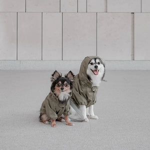 A small dog is wearing an oversized, olive-green, water-resistant jacket with a fur-lined collar. The dog's legs and part of its face are visible, while the rest of its body is covered by the LAMBWOLF COLLECTIVE - BROOKLYN LIGHT & PACKABLE DOG JACKET. The background is a soft, neutral color.