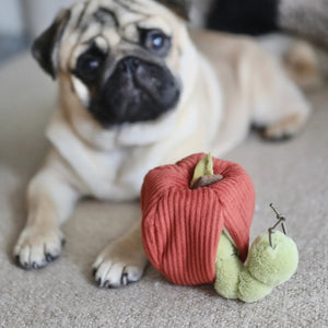 The LAMBWOLF COLLECTIVE - APPLE DOG TOY by LAMBWOLF COLLECTIVE features a furry plush caterpillar peeking out from a cozy, red, corduroy crinkly apple, set against a soft, gray background. The caterpillar includes wire antennae for added fun. This interactive dog toy is ideal for engaging playtime.