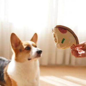 A corgi dog looks intently at a LAMBWOLF COLLECTIVE - DEEP DISH PIZZA DOG TOY being held up by a person's hand. The background features a softly lit room with sheer curtains allowing natural light to filter in.