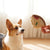 A corgi dog looks intently at a LAMBWOLF COLLECTIVE - DEEP DISH PIZZA DOG TOY being held up by a person's hand. The background features a softly lit room with sheer curtains allowing natural light to filter in.