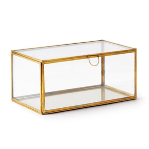 Introducing the ARWEN RECTANGULAR BOX by NAPA HOME AND GARDEN: a rectangular glass and brass box with a gold metal frame. Transparent on all sides, including the top, it features a small gold ring handle on the front. The frame's design is simple and elegant, perfect for showcasing mementos or collectibles as part of your Napa home decor.