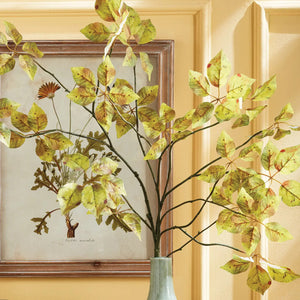 Introducing the VARIEGATED LEAF BRANCH 43" from NAPA HOME AND GARDEN: This elegant piece features a single long stem with several branches adorned with clusters of small, realistic leaves. The leaves exhibit a light to medium green hue with hints of yellow and have a slightly translucent texture. A slender, dark green stem adds a natural touch to any festive garland.