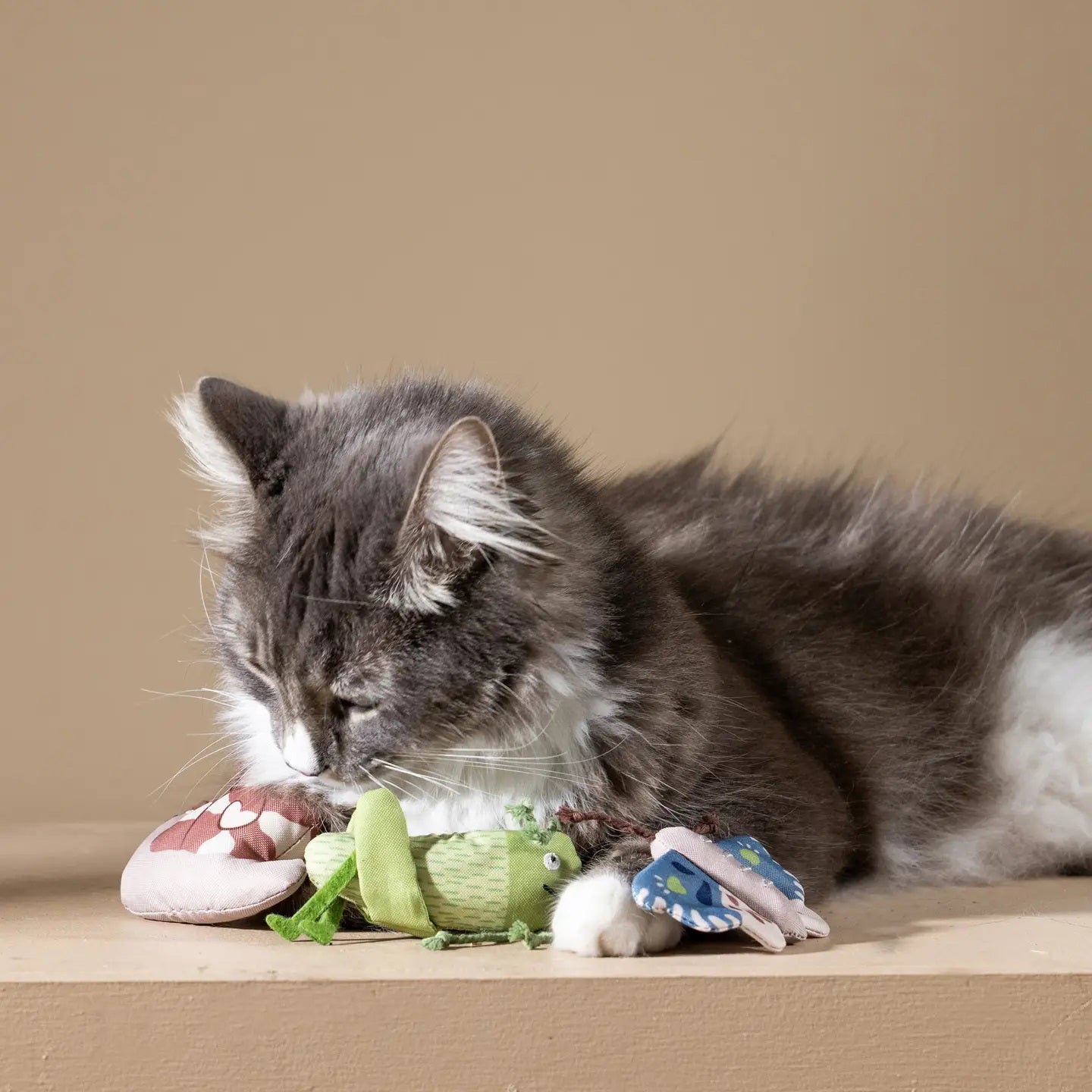 The FRINGE STUDIO - CATCH ME IF YOU CAN CAT TOY by PET SHOP BY FRINGE STUDIO features three plush toys on a white background: a butterfly with blue-pink wings, a pink-white snail, and a green grasshopper. Made from durable cotton canvas, these toys promise hours of interactive play.