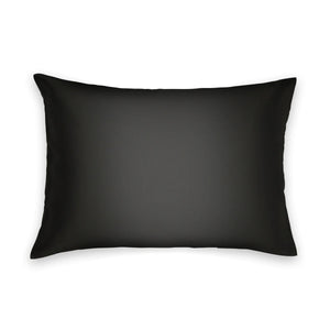 A black silk pillowcase is neatly packaged in a sleek black box with a white label that features an elegant "B" logo at the top. The label reads "BRANCHE - CHARMEUSE PILLOW CASE SILK: Sleep in Luxury. Wake up Beautiful," while promoting skin hydration and enhancing hair care.